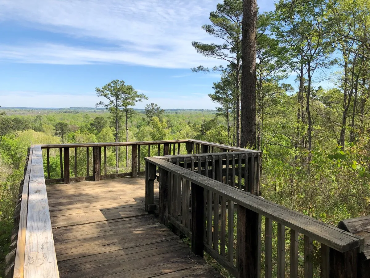 Neches Bluff Overlook: (936) 655-2299