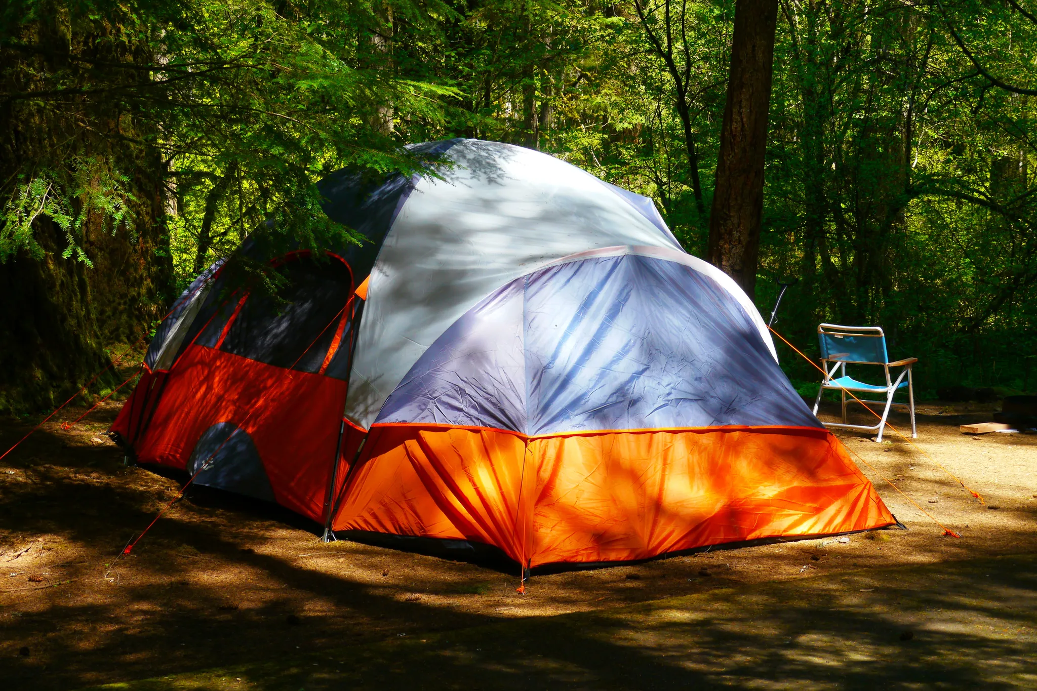 Silver Falls State Park