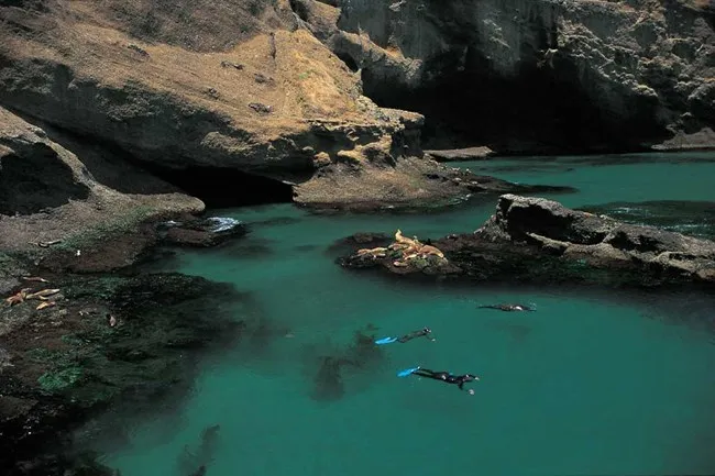 Santa Barbara Island