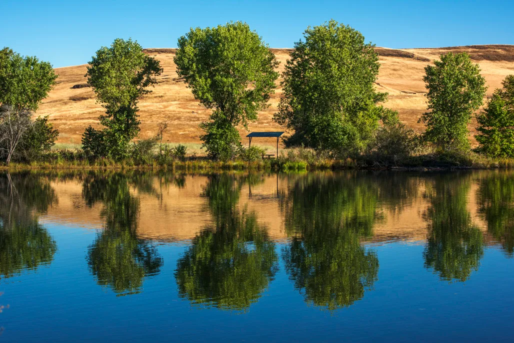 Loafer Creek Campground