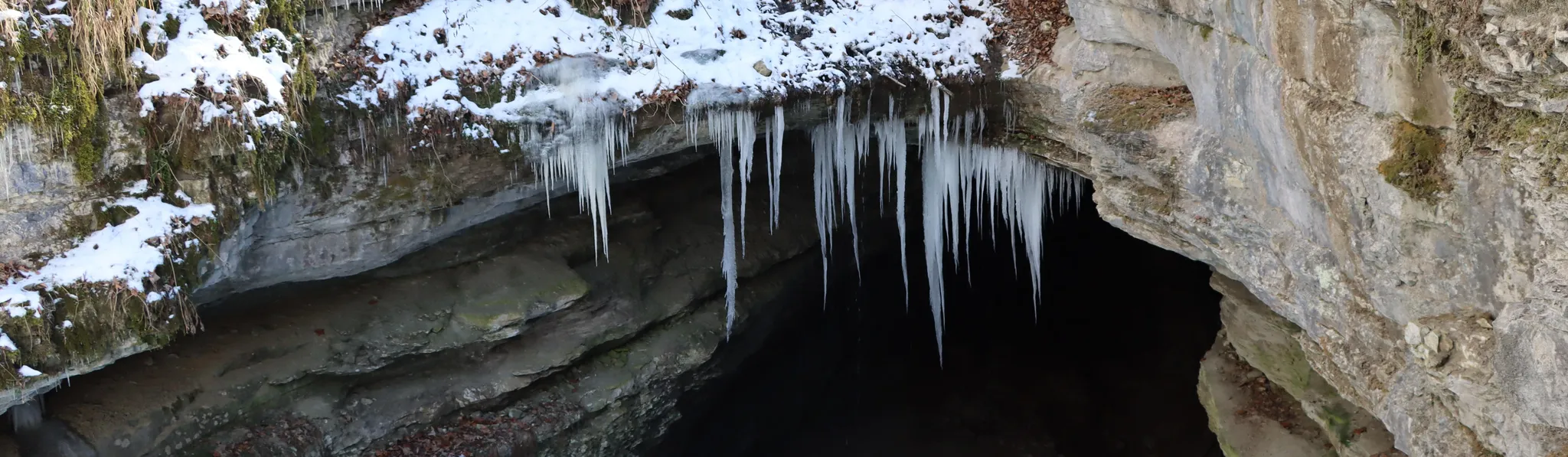 Maple Springs