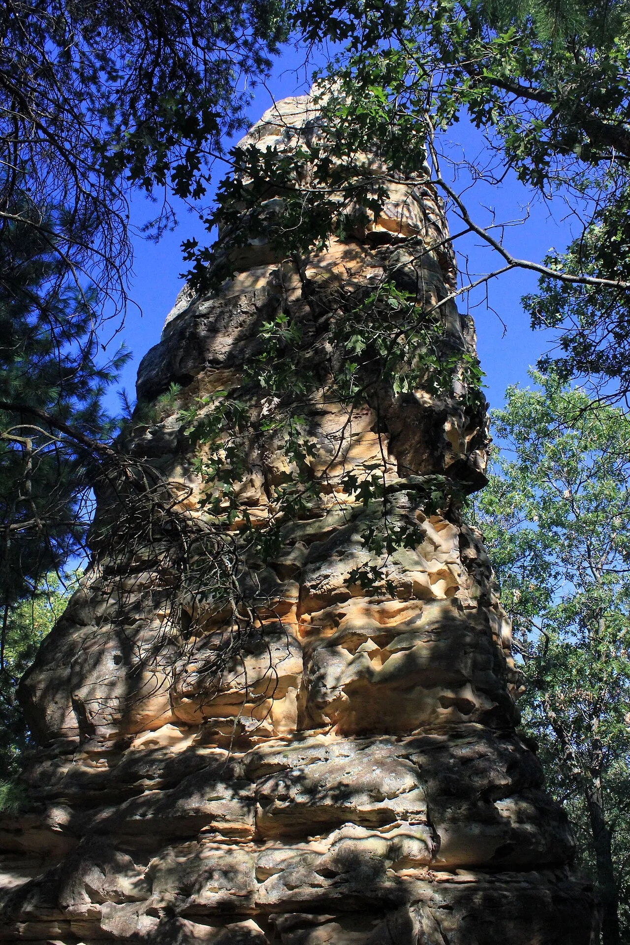 Mill Bluff State Park