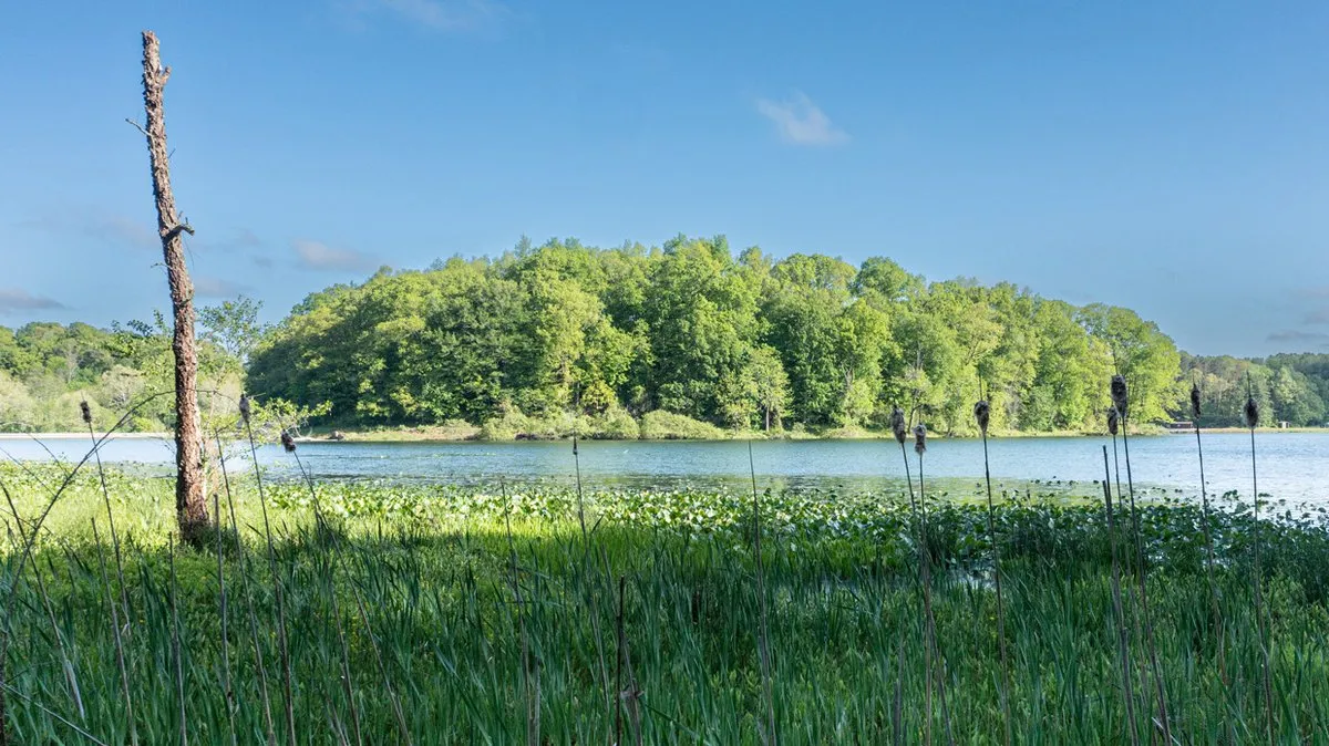 Lake Alma Campground