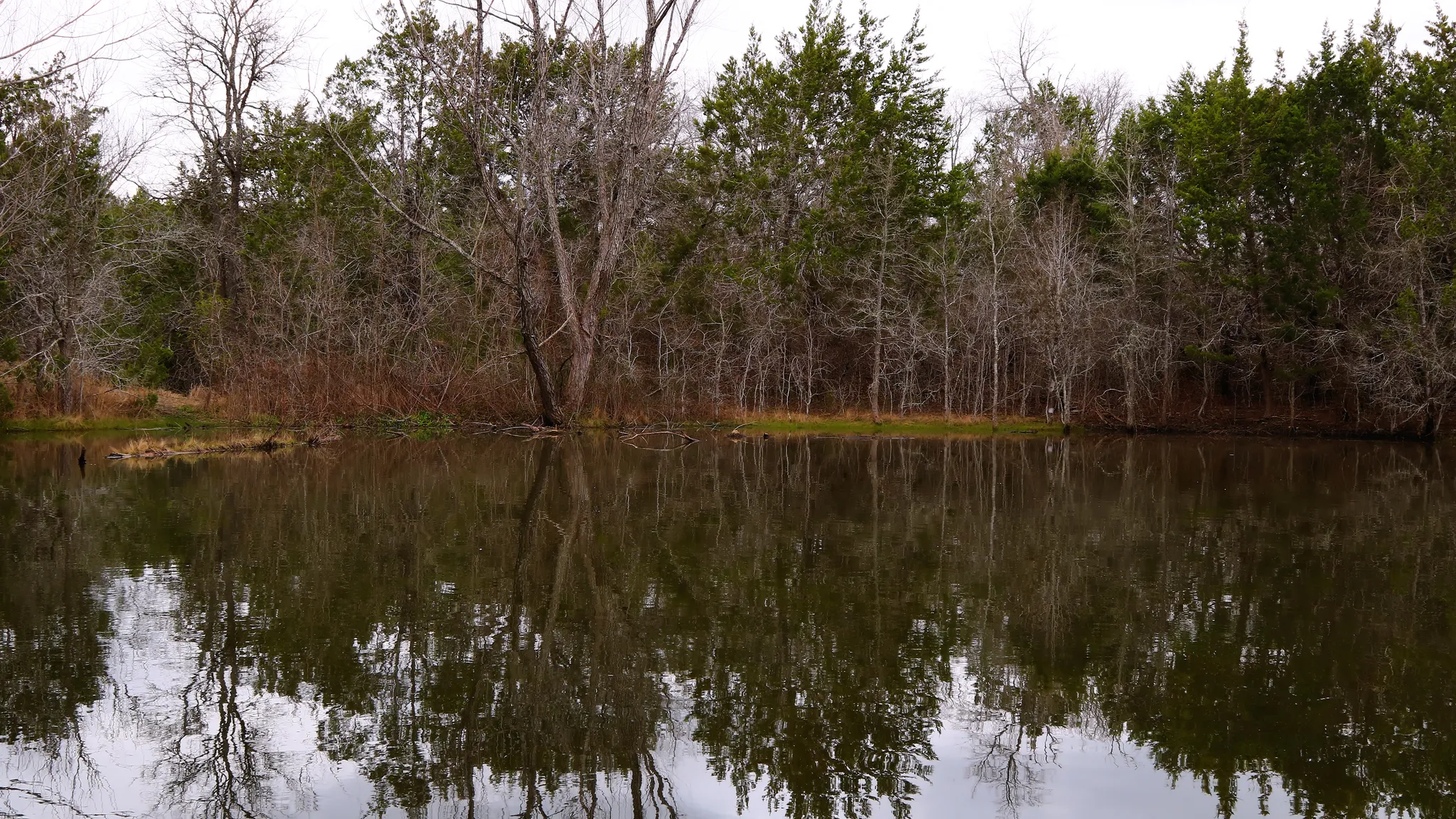 Mckinney Falls State Park