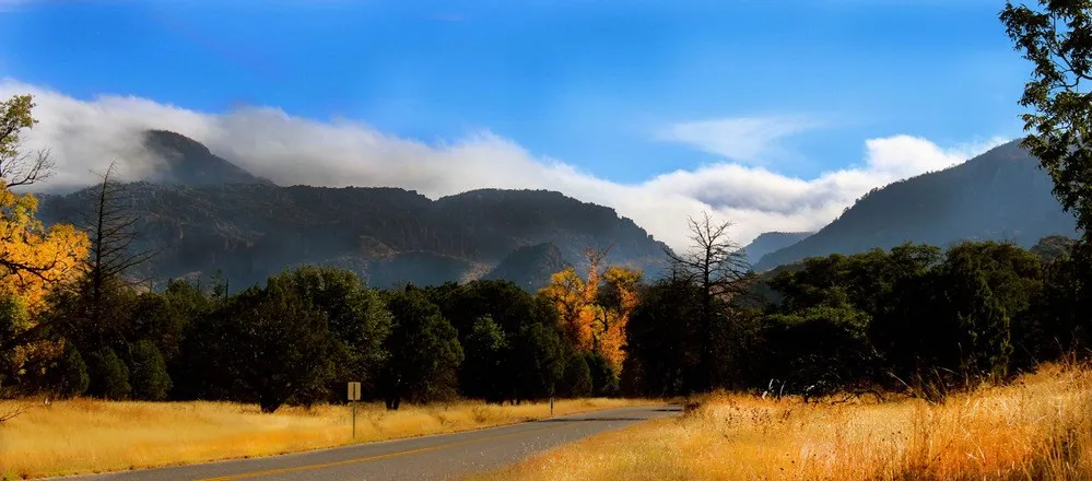 Bonita Canyon Campground