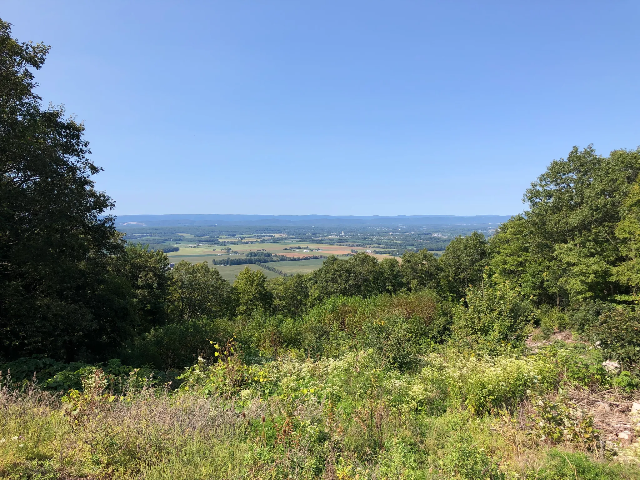 Rothrock State Forest
