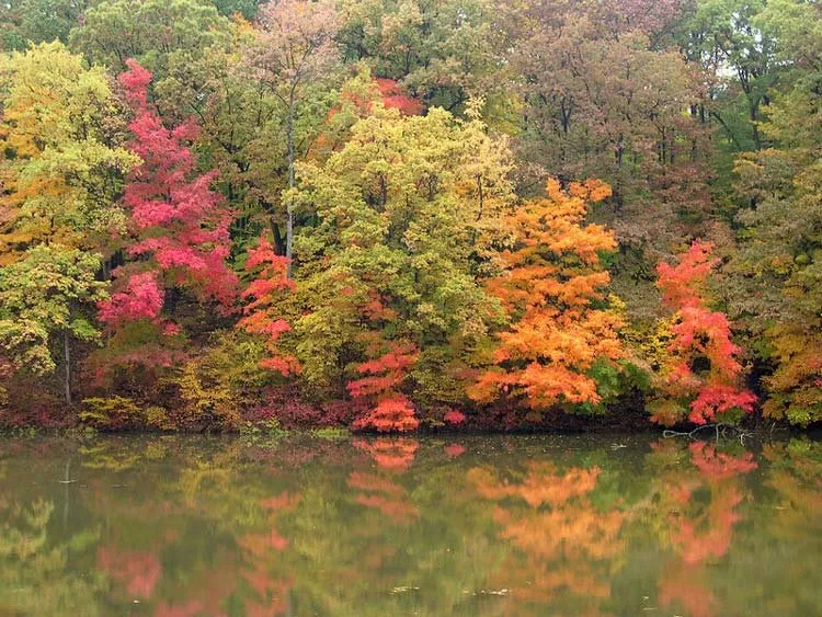 Mt. Gilead Campground