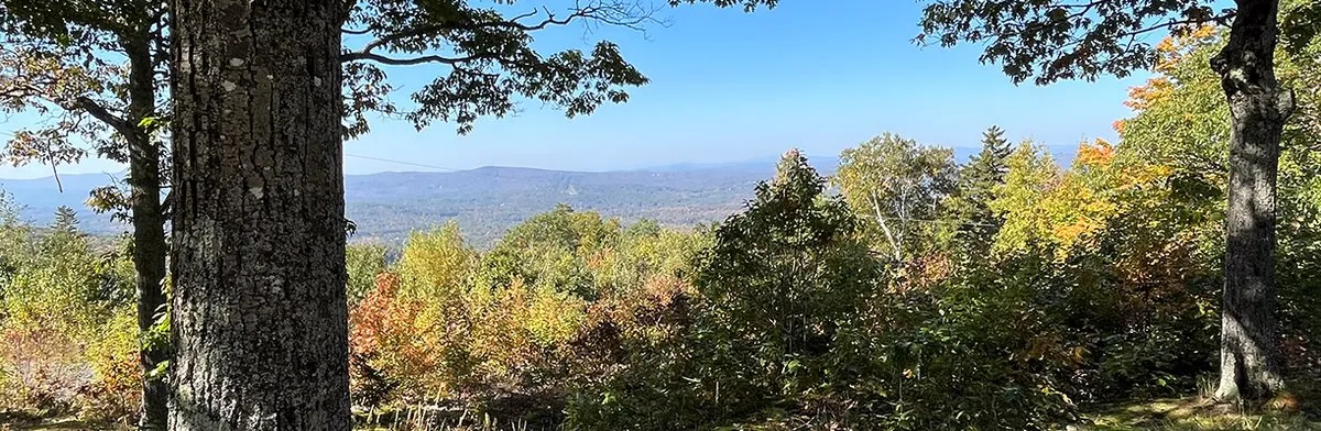 Winslow State Park