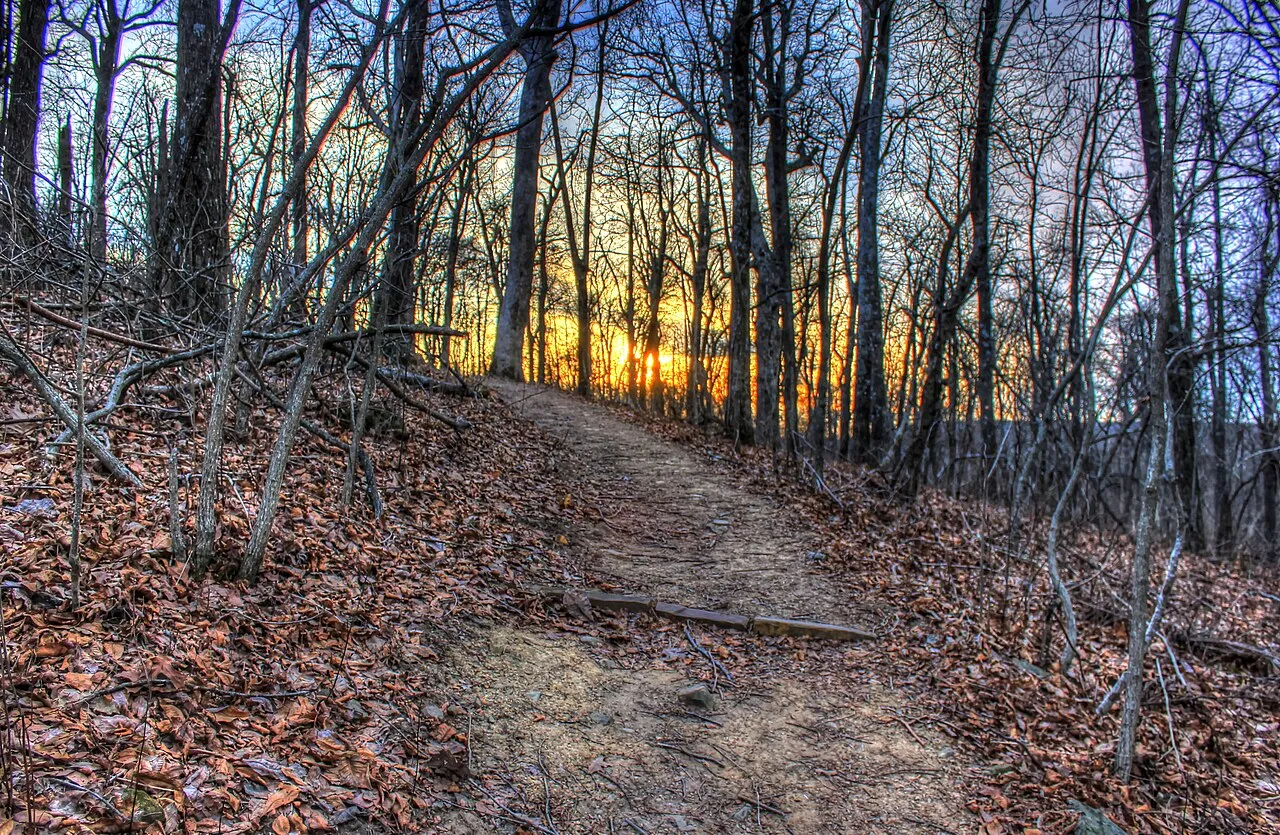 Mount Magazine Campground