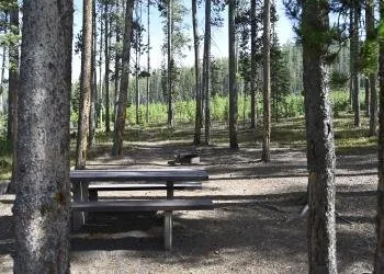 Lodgepole Campground