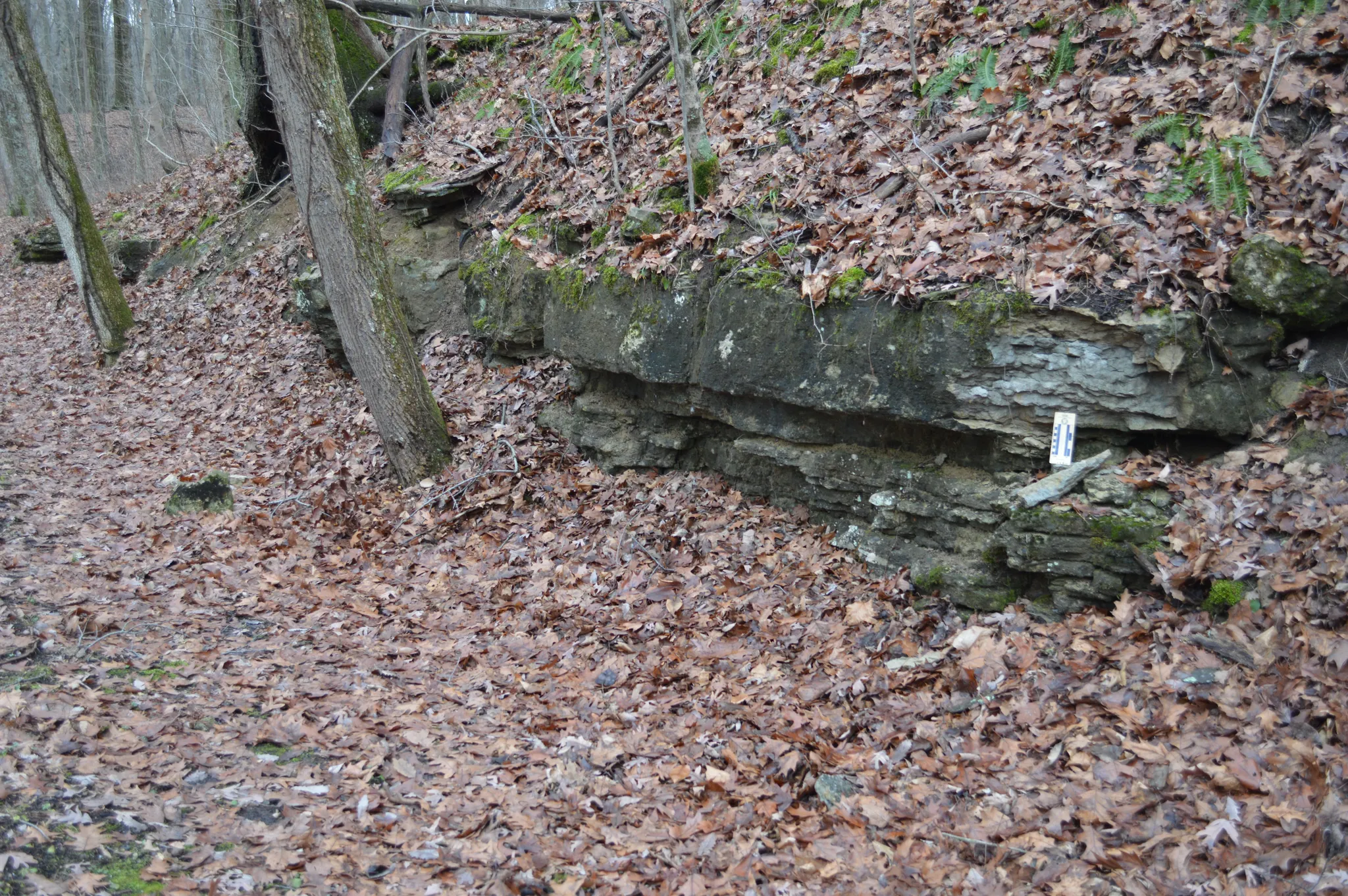 Versailles State Park