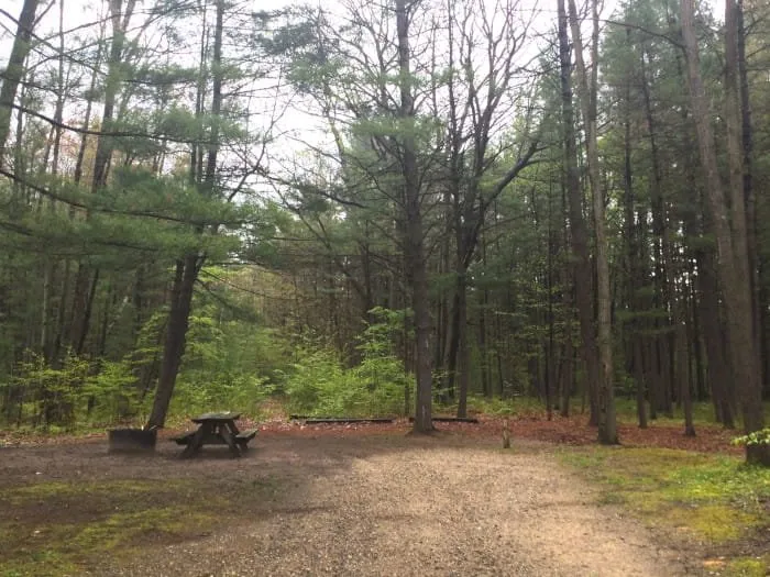 Black Creek State Forest Campground