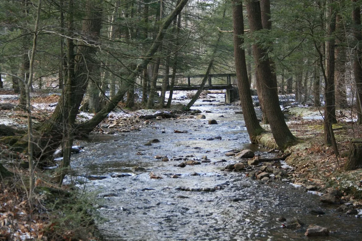 Fowlers Hollow State Park