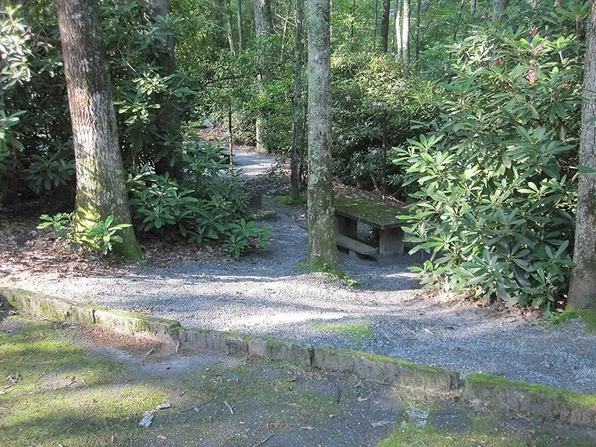 Julian Price Campground