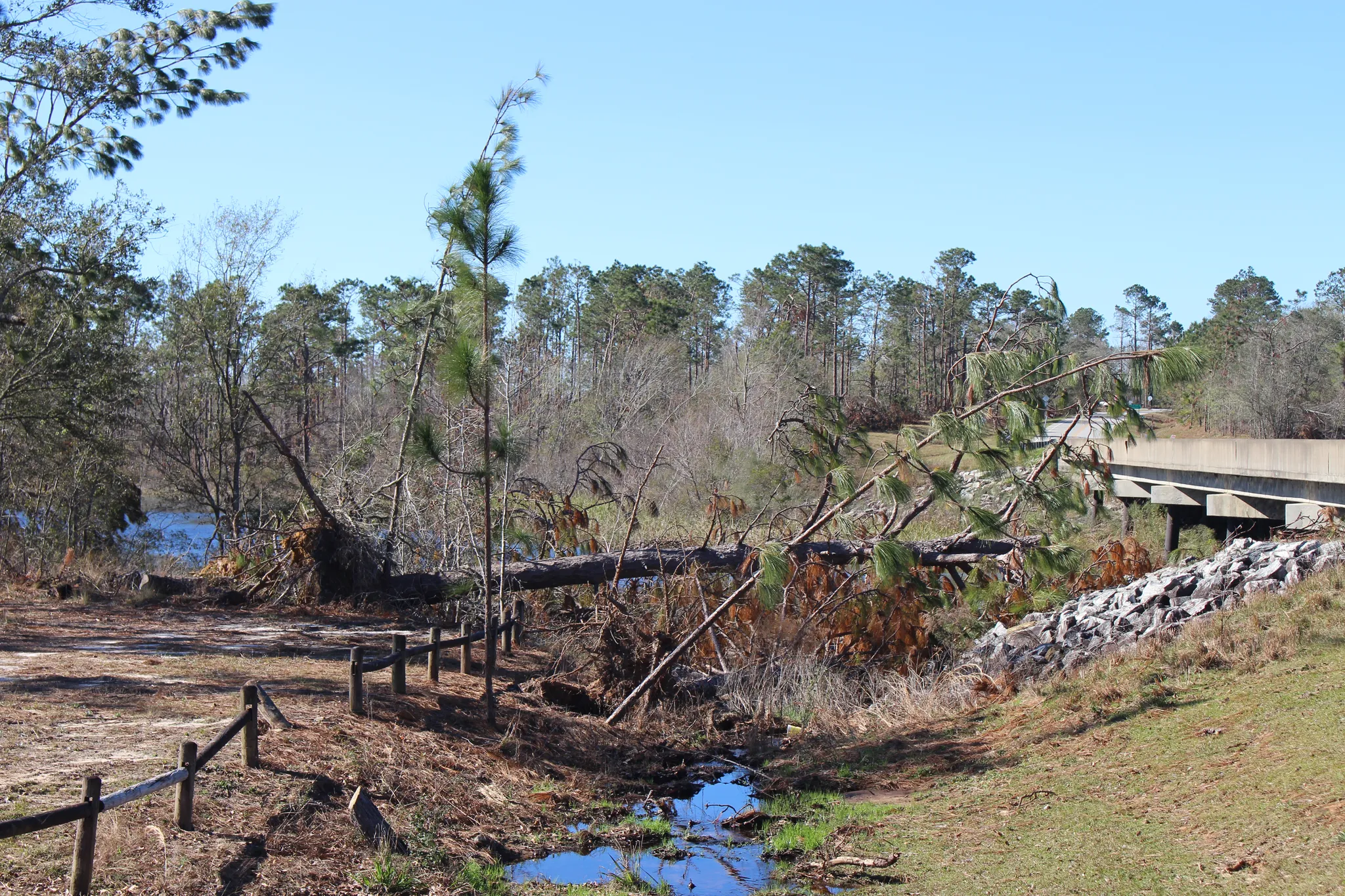 Seminole State Park