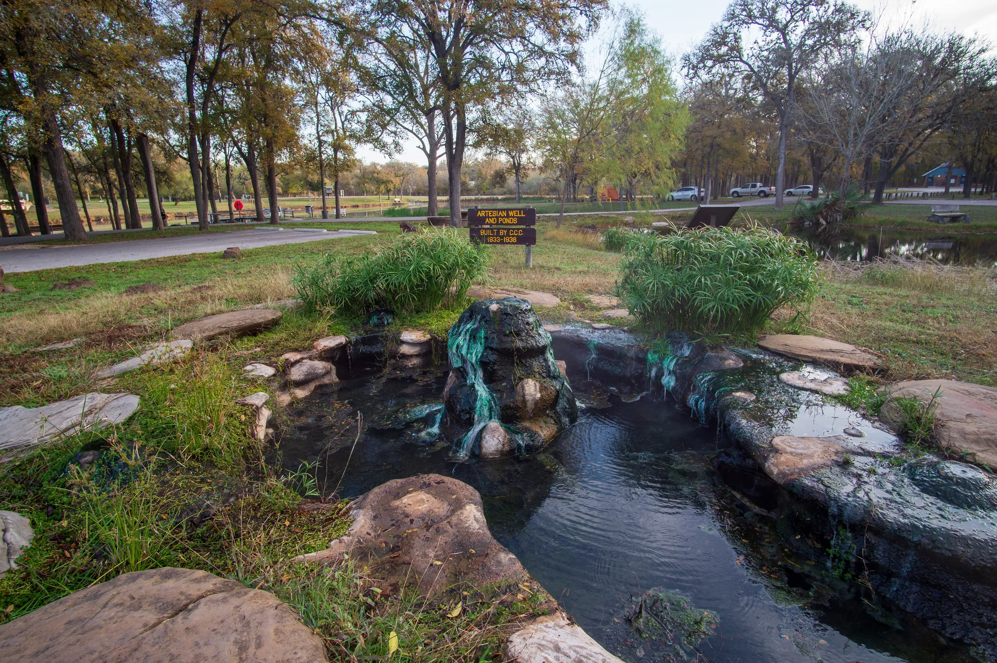 Palmetto State Park