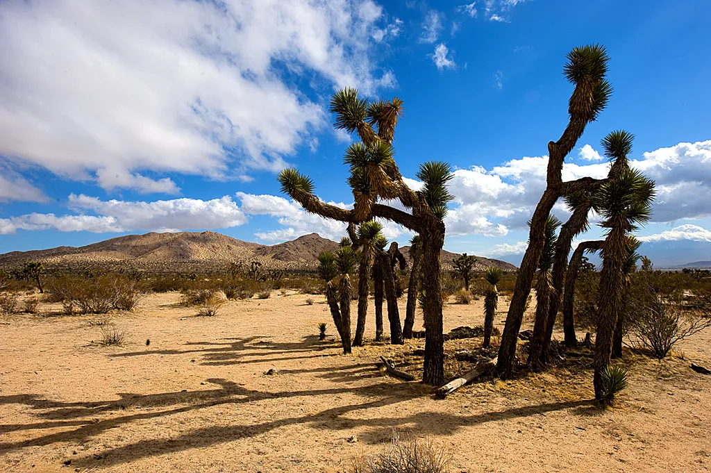 Saddleback Butte State Park Campground