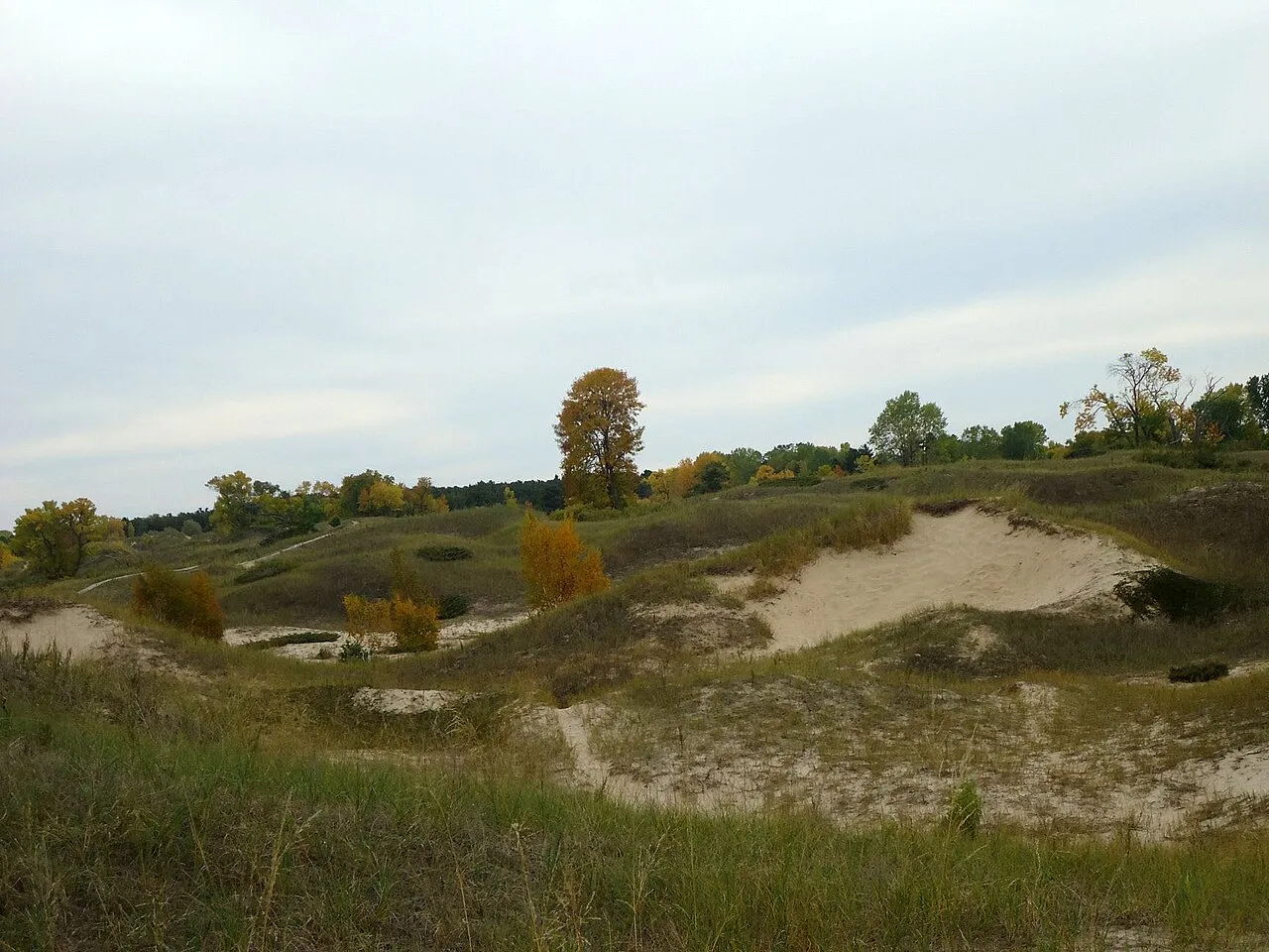 Kohler-Andrae State Park