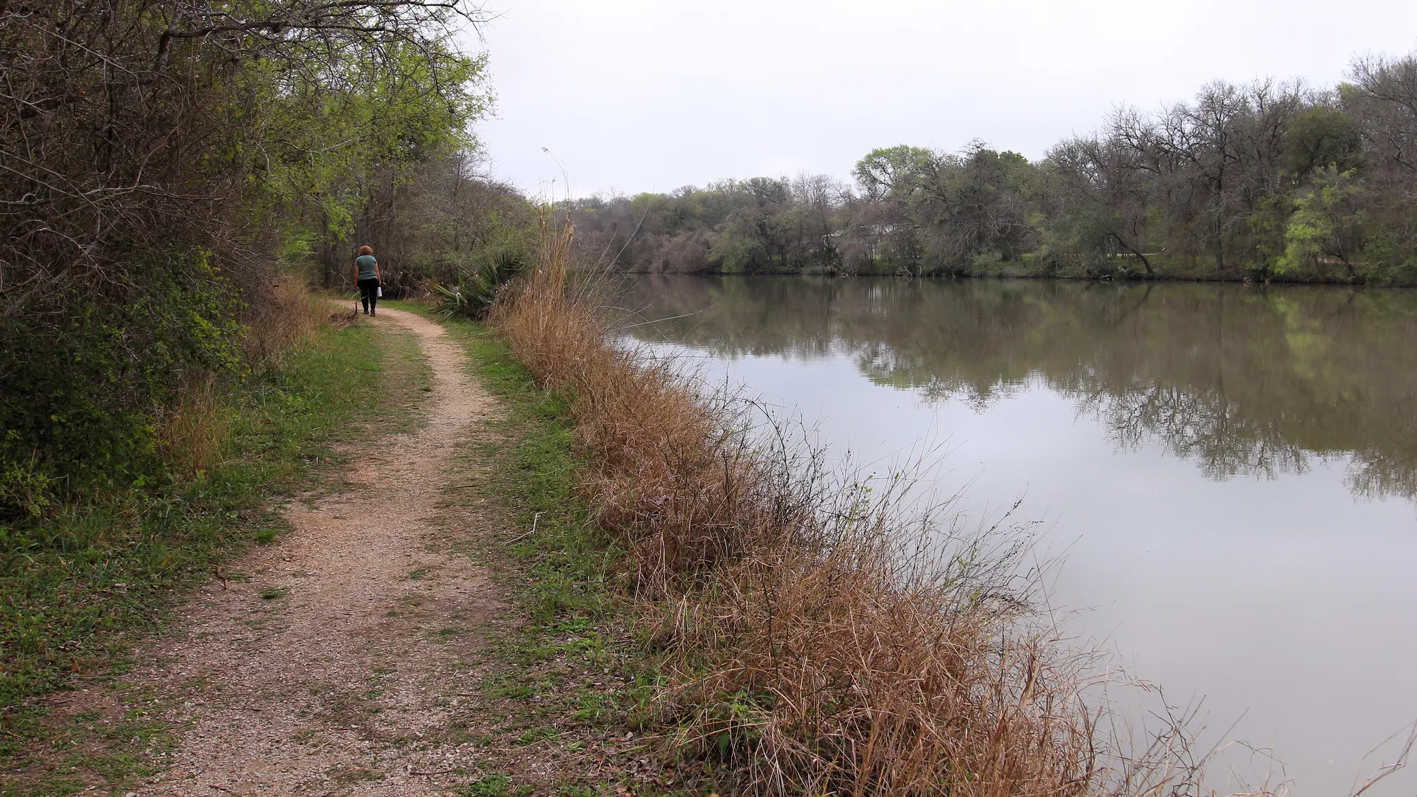Palmetto State Park