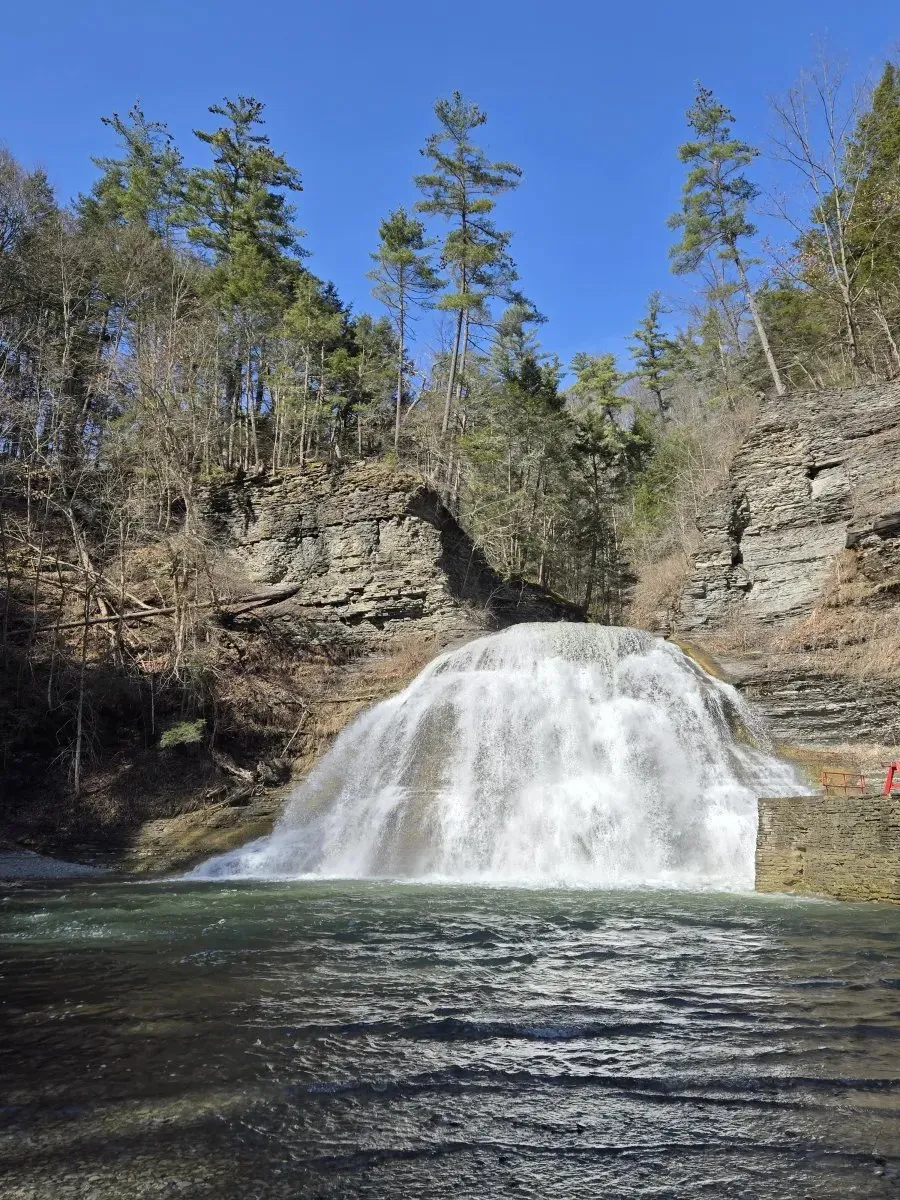 Robert H Treman State Park