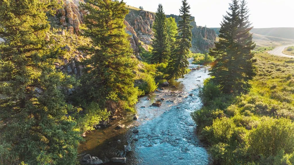 State Forest State Park
