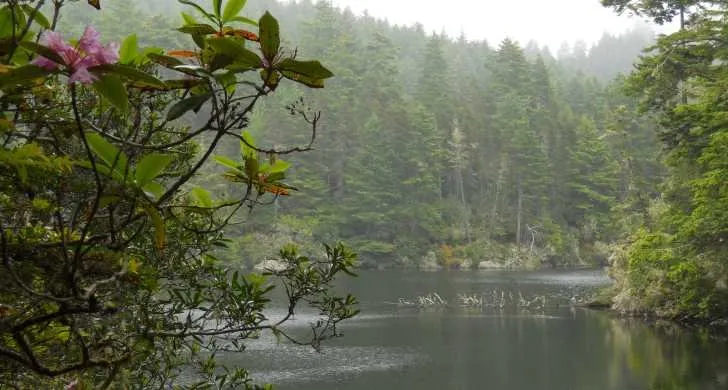Memaloose State Park