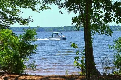 Mistletoe State Park