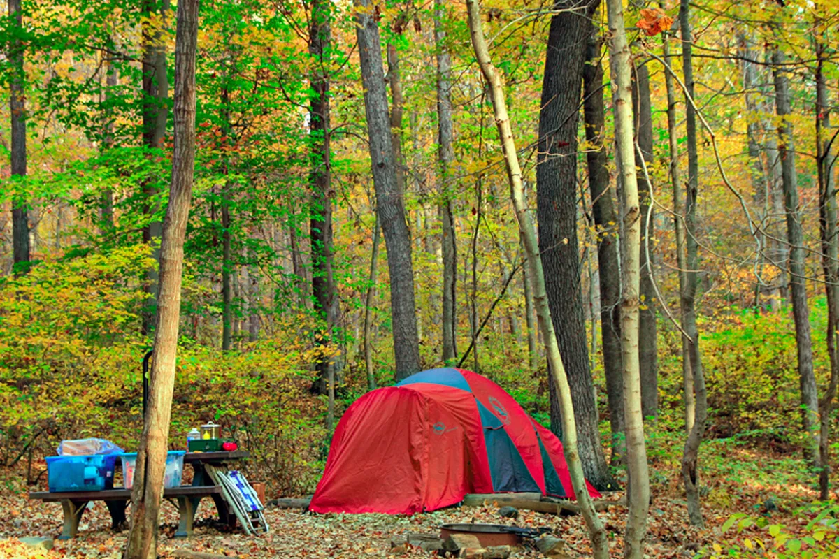 Owens Creek Campground
