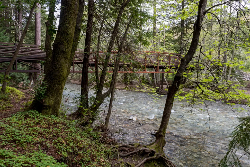Pfeiffer Big Sur Campground