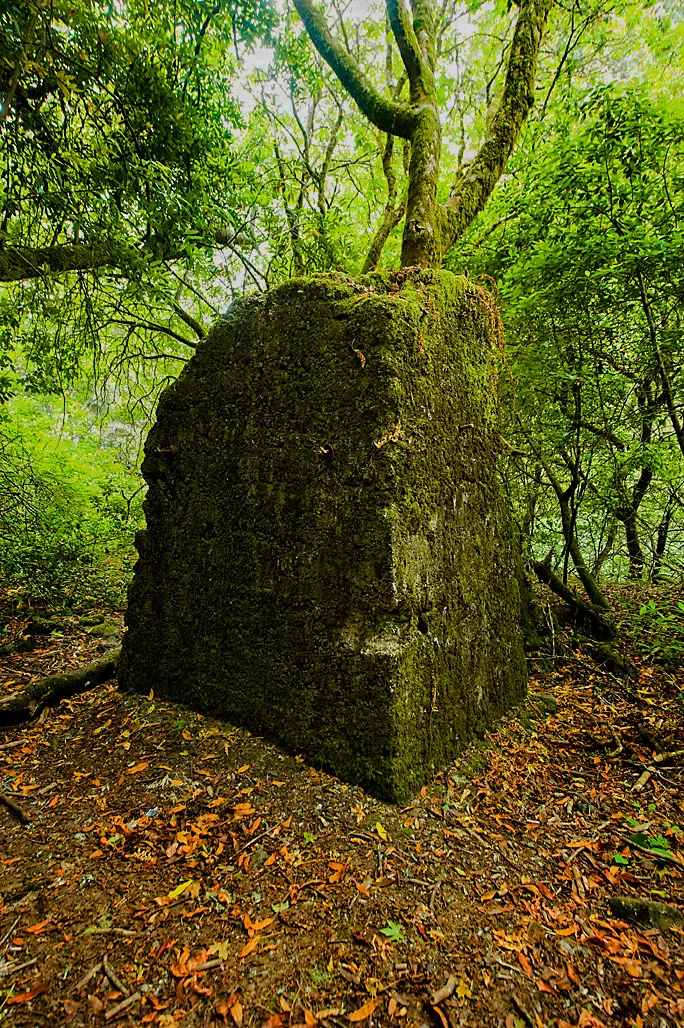 Samuel P. Taylor State Park Campground