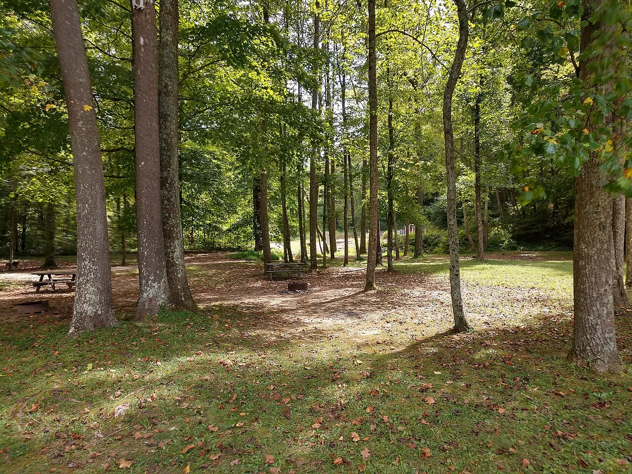 Tar Hollow Campground