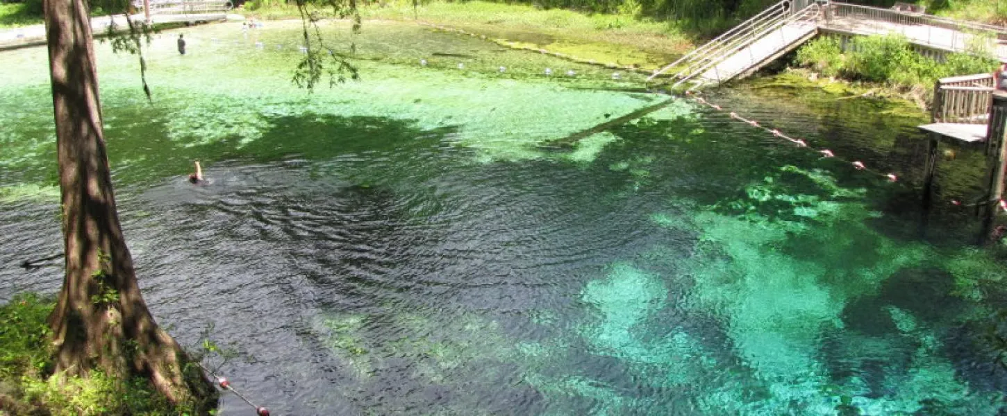 Fanning Springs State Park Campground