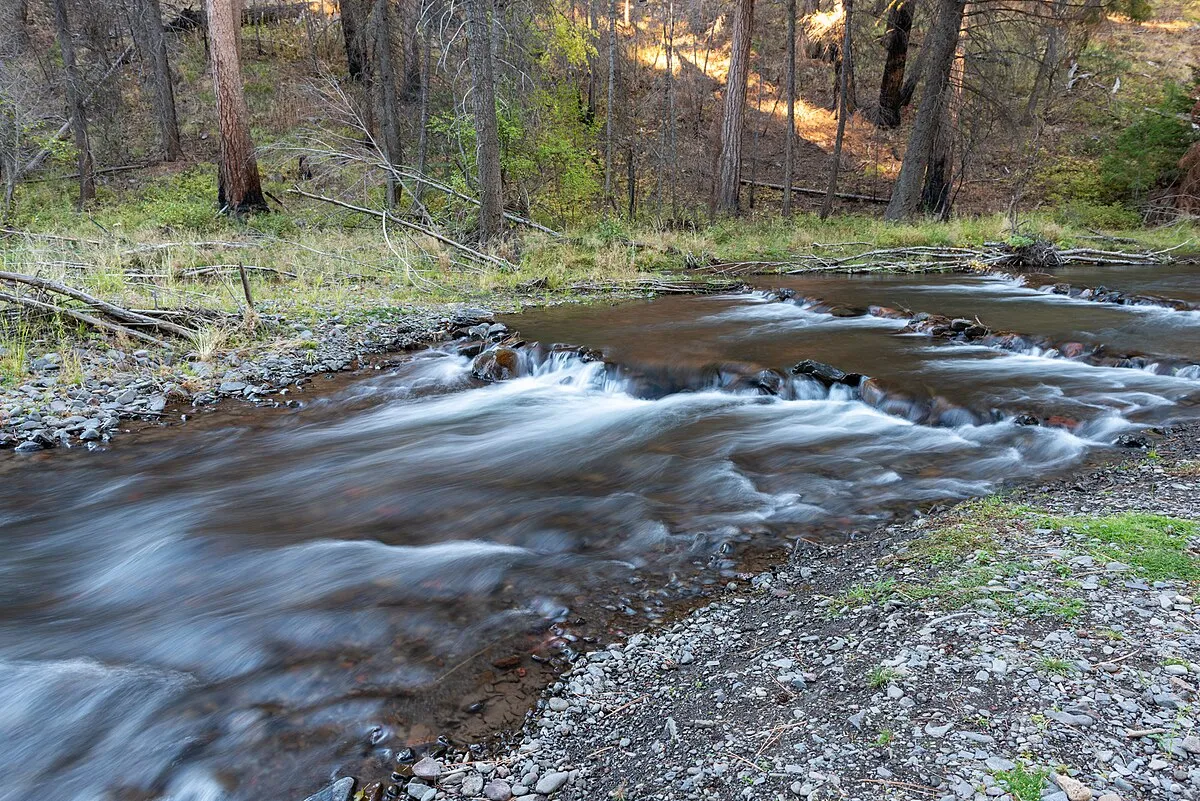 South Fork Campground