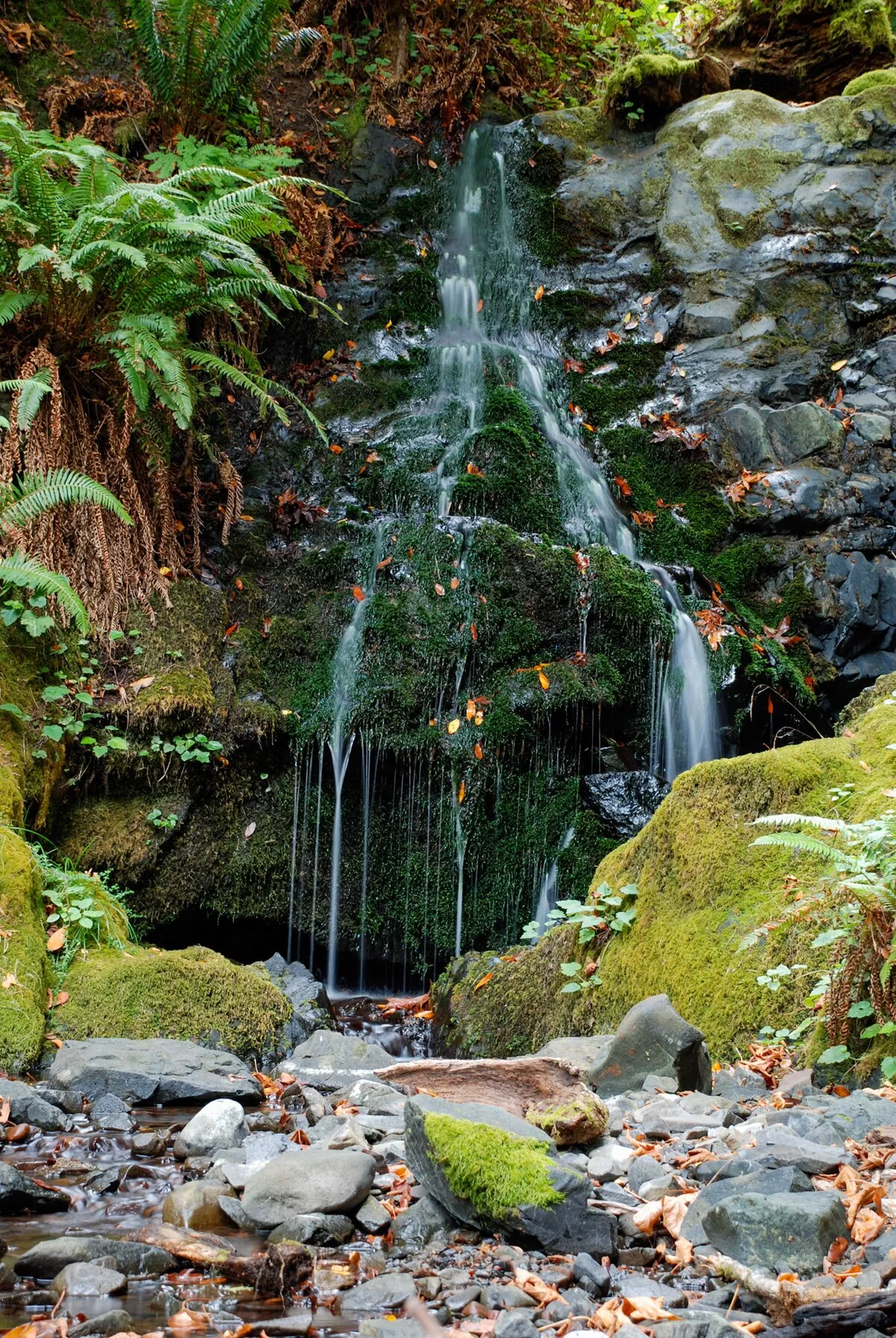 Lobster Creek Campground