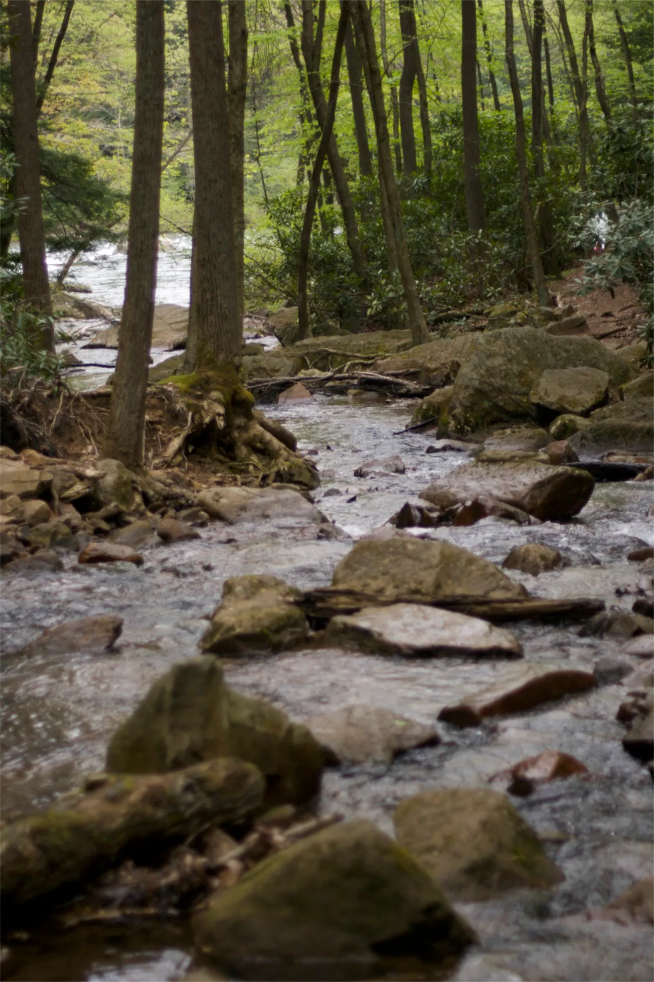 Ohiopyle State Park