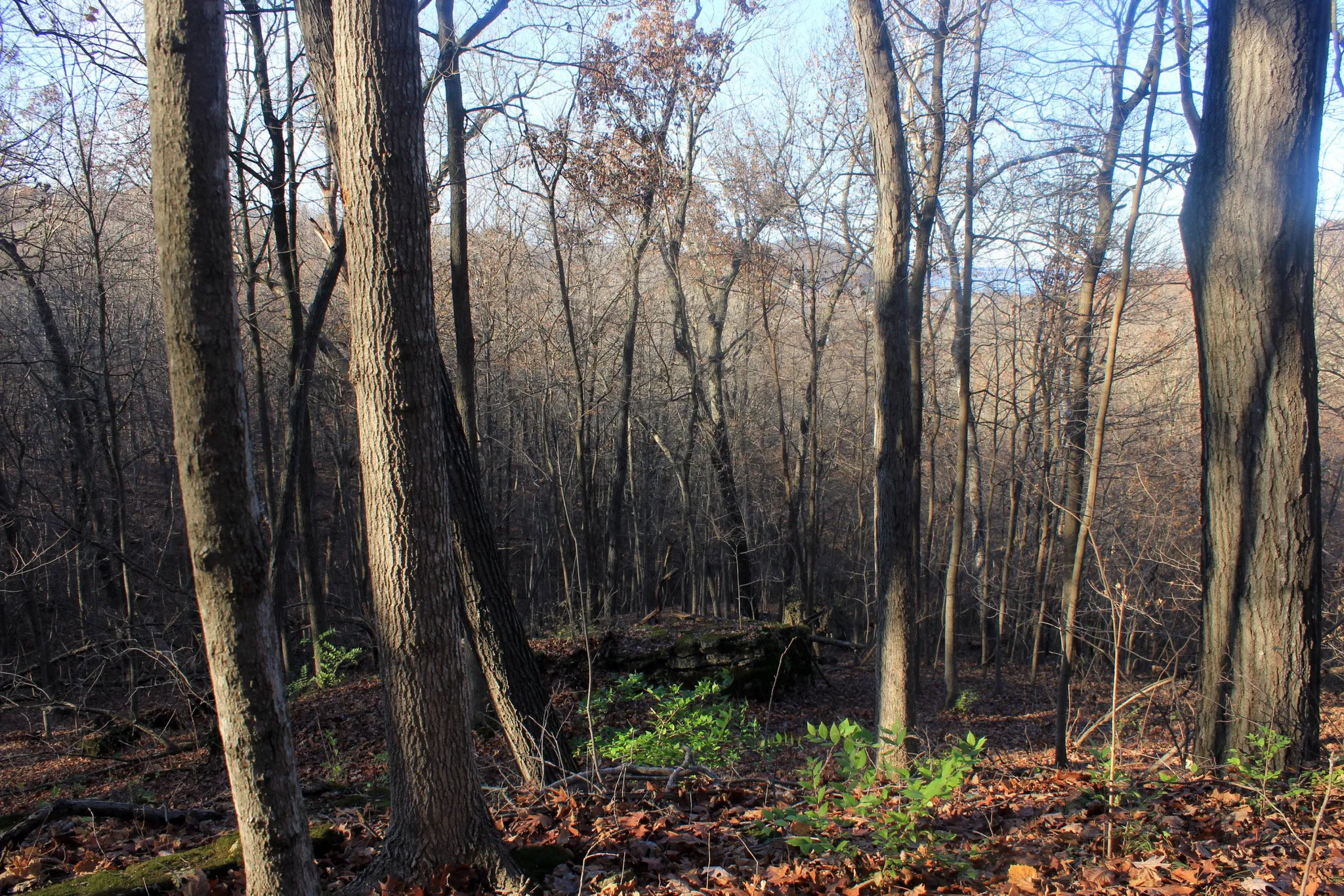 Bellevue State Park
