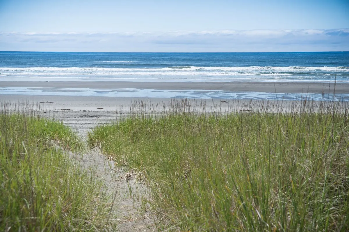 Twin Harbors State Park
