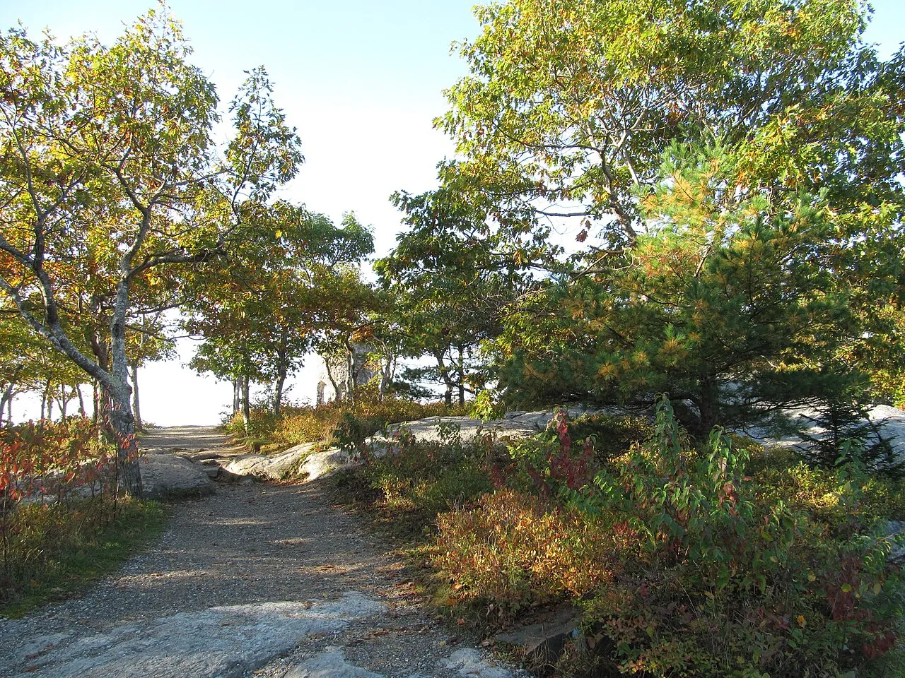 Camden Hills Campground