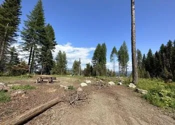 Bald Mountain Campground
