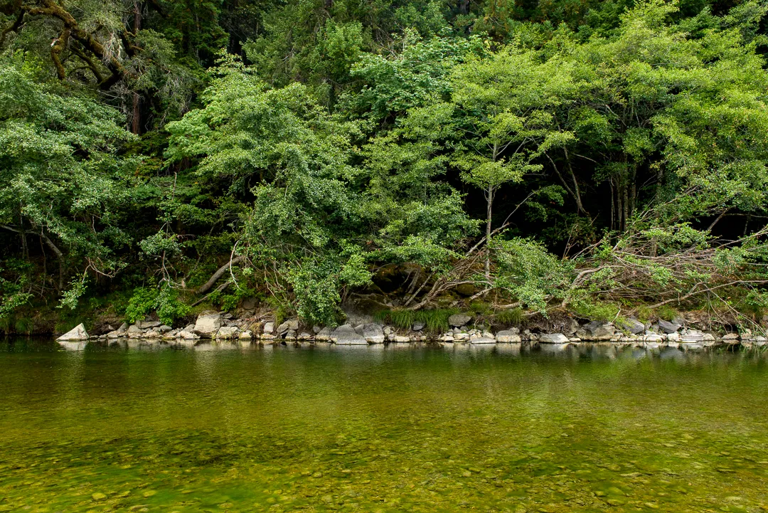 Benbow State Recreation Campground
