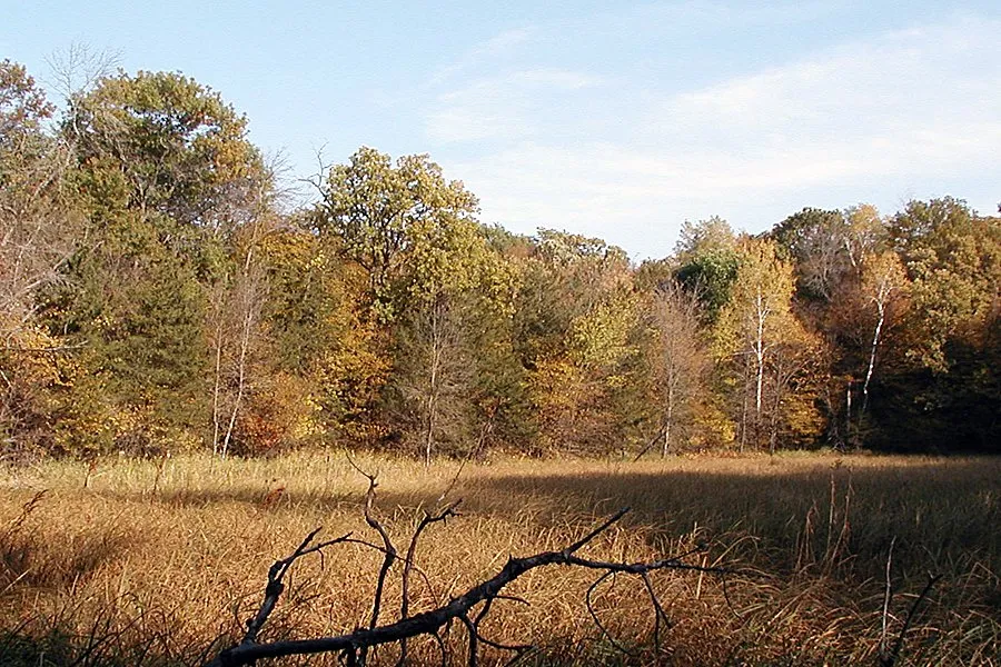 Lakeview Campground