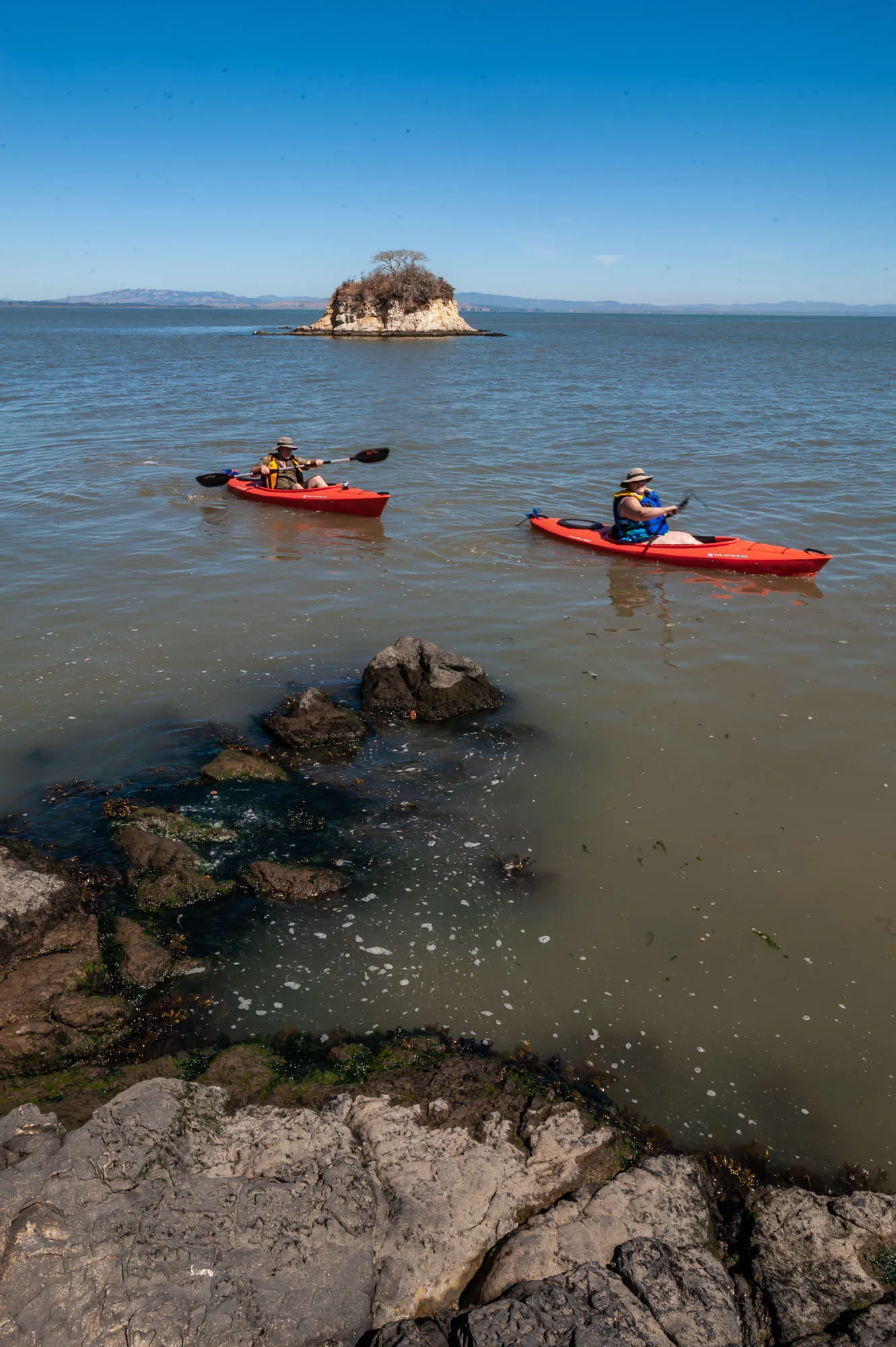 China Camp State Park Campground