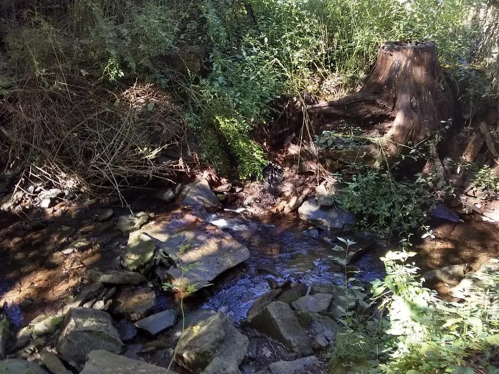 Tyler State Park