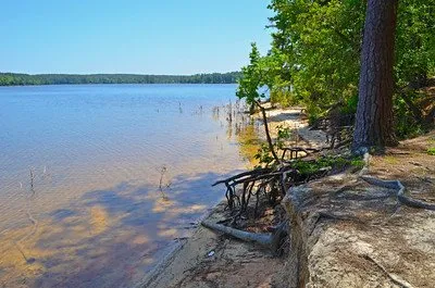 Mistletoe State Park