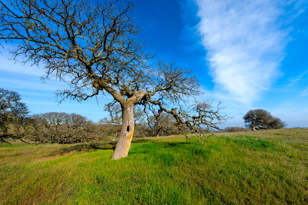 San Luis Creek Campground