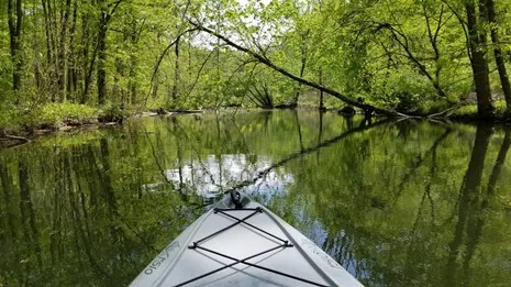 Crabtree Falls Campground