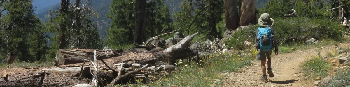 Scott Mountain Campground