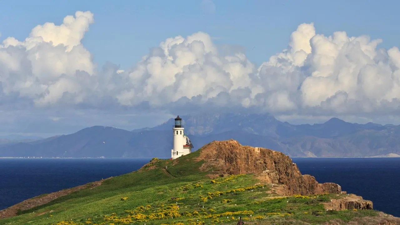 Santa Barbara Island