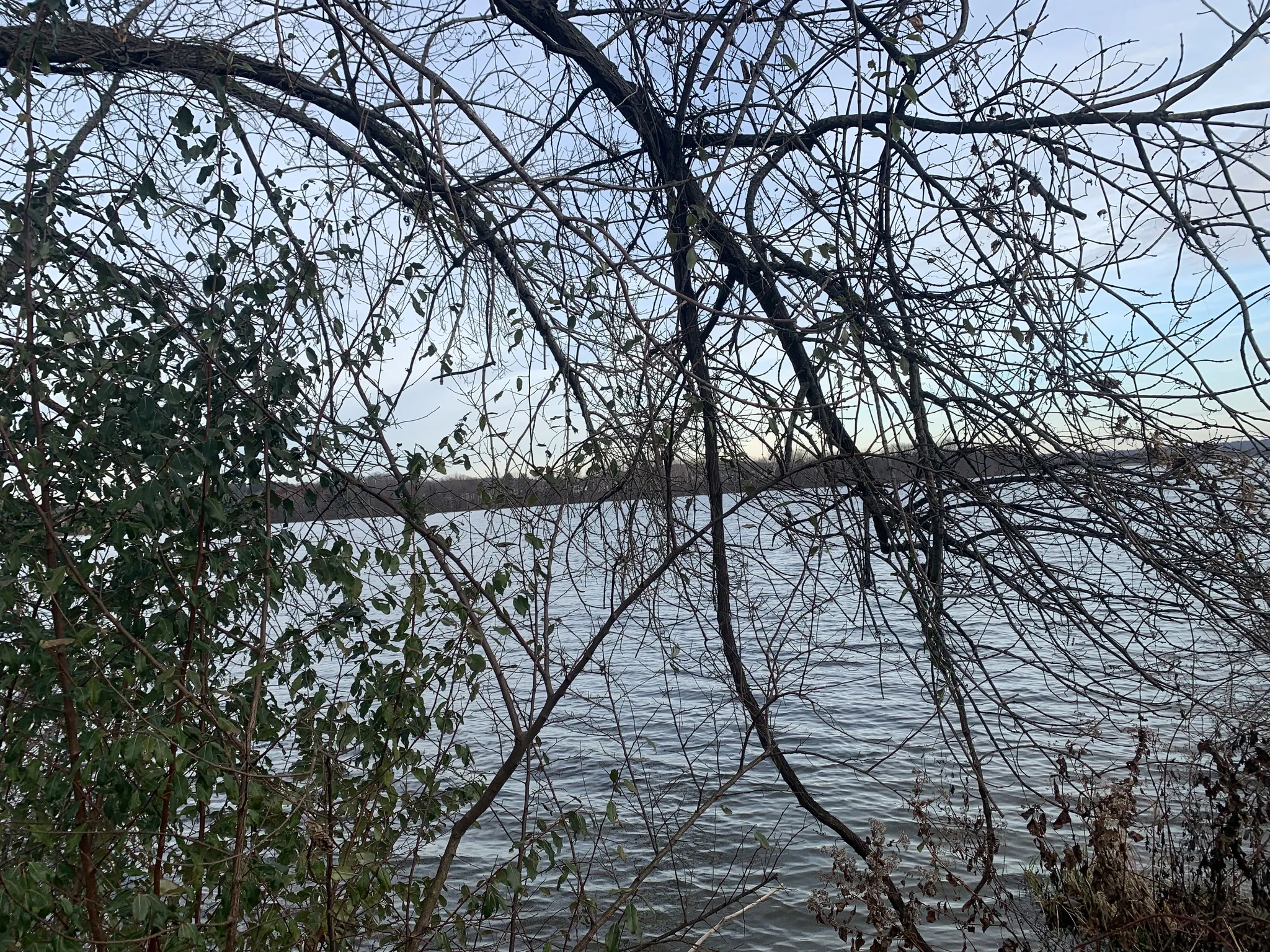 Spruce Run Campground