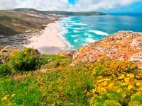 San Miguel Island